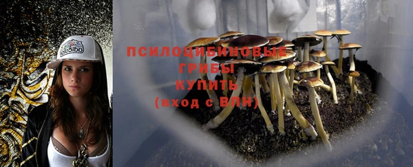 прущая мука Осташков