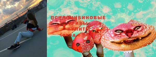 соль курить ск Осинники