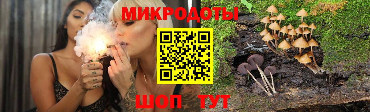 Галлюциногенные грибы Magic Shrooms Аргун