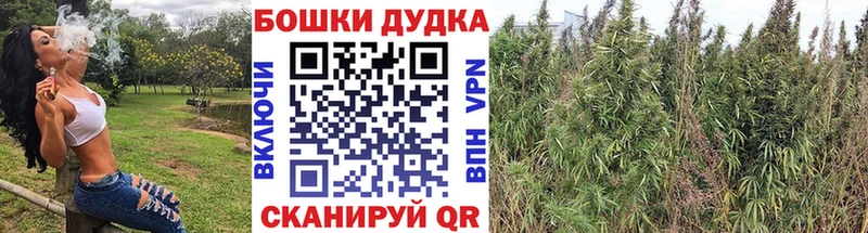 hydra ТОР Аргун Бошки марихуана AK-47